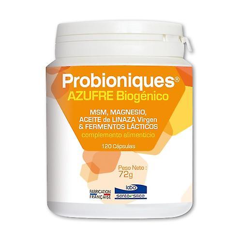 Labo Sante Silice Probioniques biogenic sulfur 120 capsules on Productcaster.