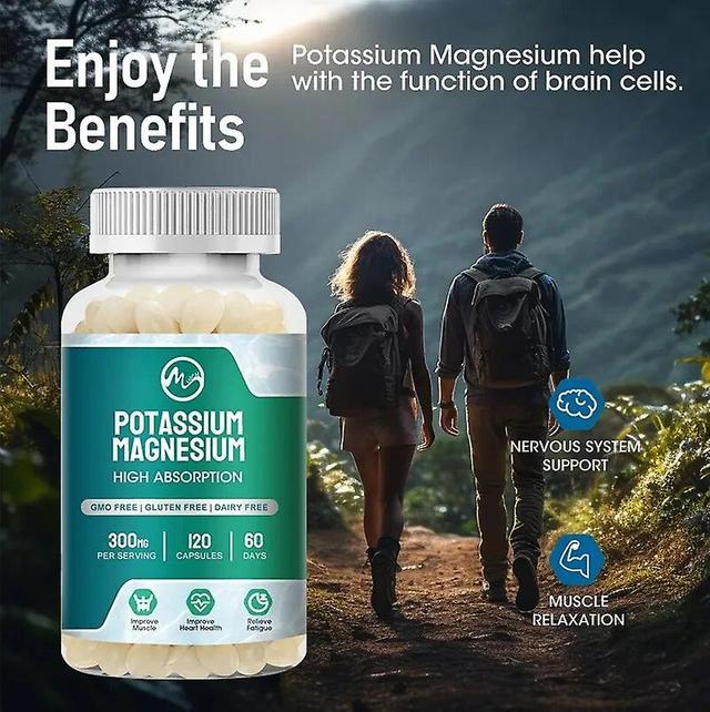 Venalisa Minch Hög Absorption Magnesium Kalium Kapslar 300mg Tillägg Stöd Kropp Hälsa Benkramper Hälsa Muskel Ben Vuxna 120 Pcs on Productcaster.