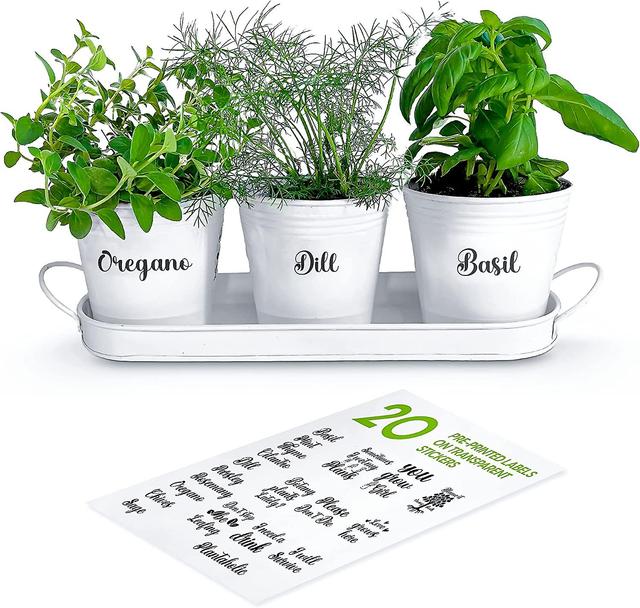 Hgbd-zestigreens Herb Pot Planter Set With Tray For Indoor Garden Or Outdoor Use, White Metal Succulent Potted Planters For Kitchen Windowsill on Productcaster.