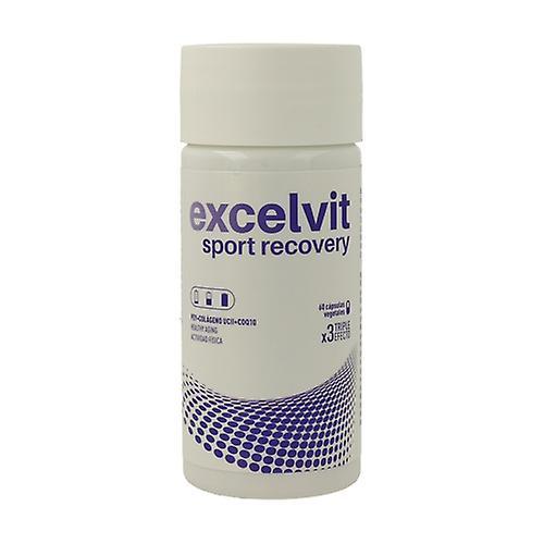 Excelvit Sport Recovery 60 capsules on Productcaster.