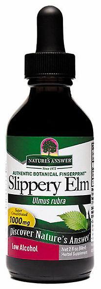 Nature's answer slippery elm (low alcohol) on Productcaster.