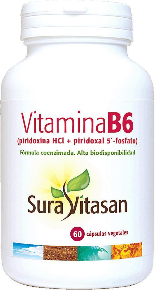 Sura Vitasan Vitamin B6 60 Kapsler on Productcaster.