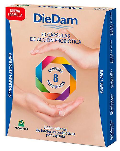 DieDam Cap, diedam on Productcaster.