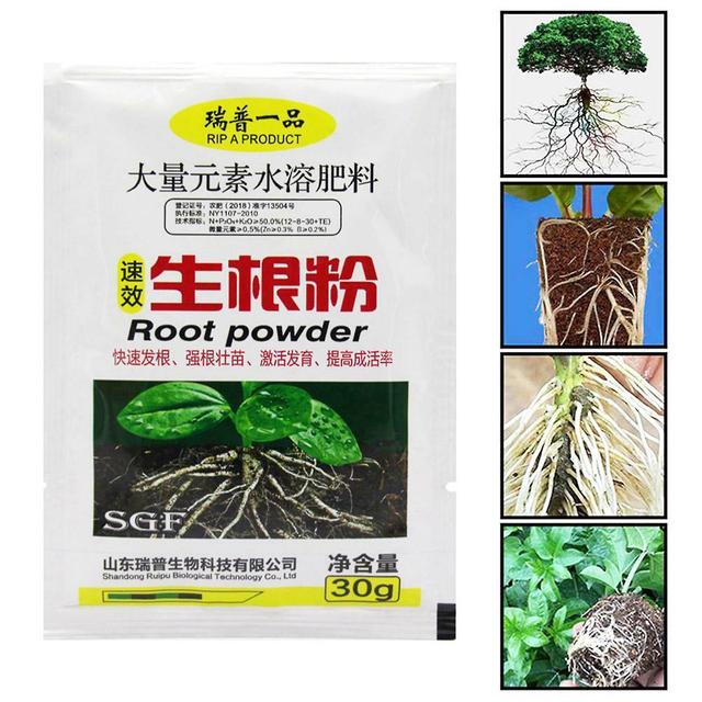 Sijiali 1Pc 30g Rooting Powder Multi-functional Reliable Efficient Rooting Hormone Powder for Garden on Productcaster.