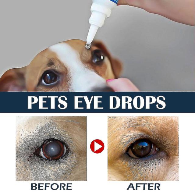 Therapeutic Eye Lubricating Drops for Dogs and Cats - Improve Vision Clarity and Relieve Dryness 3pcs on Productcaster.