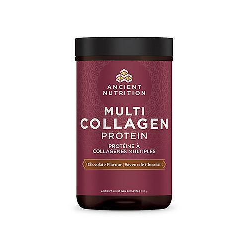 Ancient Nutrition Multi Collagen Protein Chocolate ,298 Grams on Productcaster.