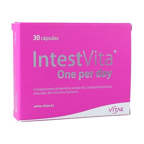 Vitae IntestVita Jeden za deň 30 kapsúl 30 kapsúl on Productcaster.