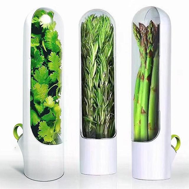 3pcs Herb Saver Premium Herb Storage Container Keeps Greens Vegetables Fresh on Productcaster.