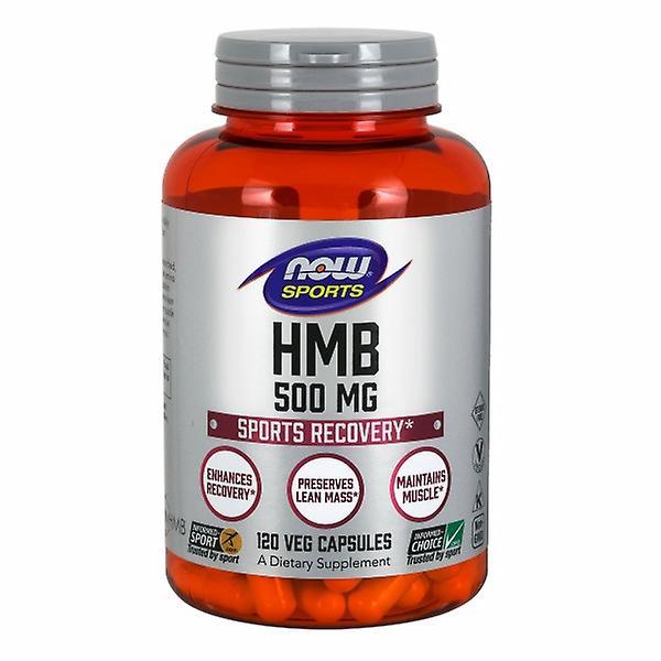 Now Foods HMB, 500 mg, 120 kapsułek wegetariańskich (opakowanie 3 szt.) on Productcaster.