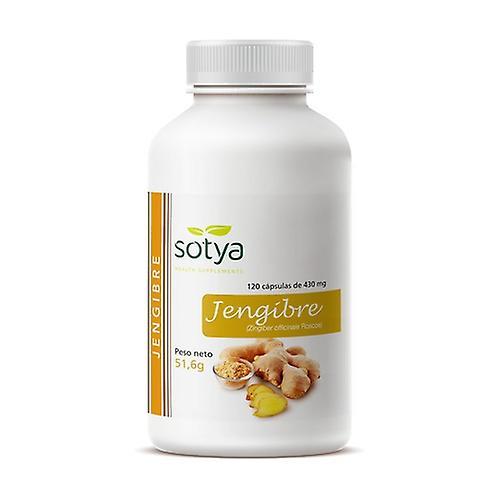 Sotya Ginger 120 capsules on Productcaster.