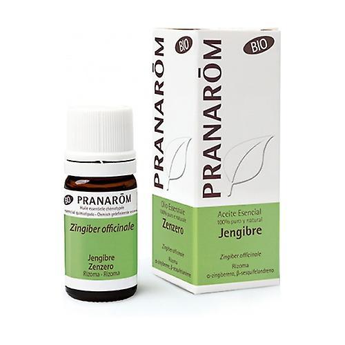 Pranarôm Organic Ginger Essential Oil (Zingiber officinale) 5 ml of essential oil (Ginger) on Productcaster.