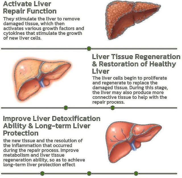 Vegan Liver Cleaning Nasal Herbal Box, Nasal Herbal Box 5 Flavors Compatible With Liver, Vegan Liver Cleaning Nasal Herbal Box Repair Nasal Herbal Box on Productcaster.