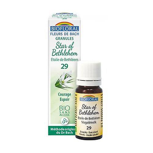 Biofloral Star of Bethlehem Organic Granules 300 granules on Productcaster.