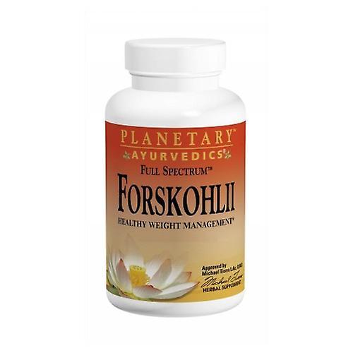 Planetary Herbals Planetaire Ayurvedics Forskohlii Full Spectrum, 130 mg, 120 caps (Pack van 1) on Productcaster.