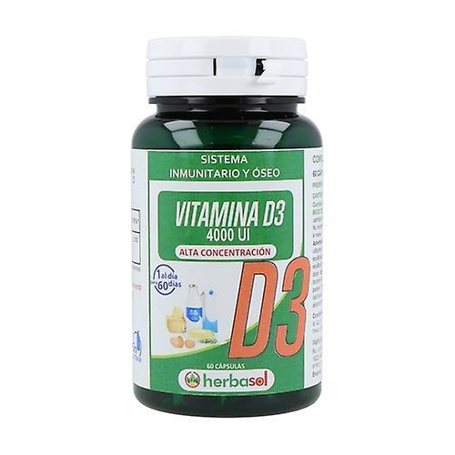 Robis Vitamin D3 4000ui high concentration 60 capsules of 290.67mg on Productcaster.