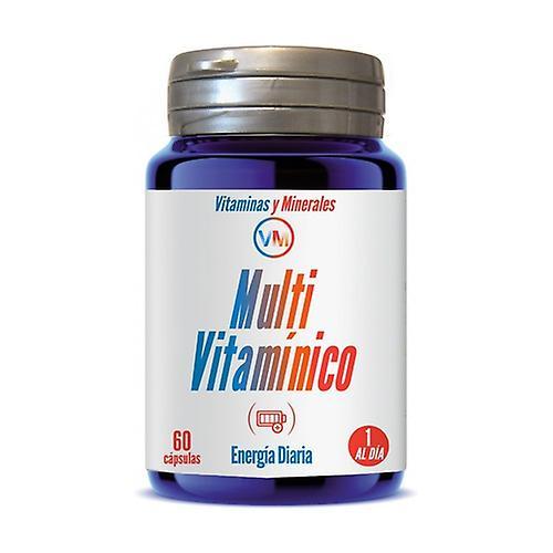 Ynsadiet Multivitamin Vm 60 vegetable capsules on Productcaster.