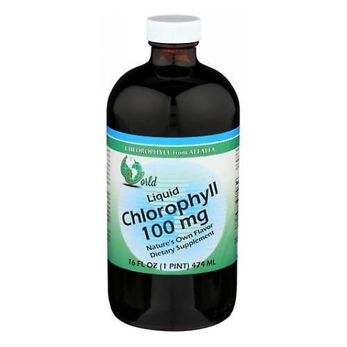 World Organics Chlorophyll,100 mg,Liquid 16 Oz (Pack of 3) on Productcaster.