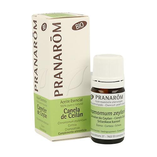 Pranarôm Organic Ceylon Cinnamon Essential Oil 5 ml of essential oil on Productcaster.