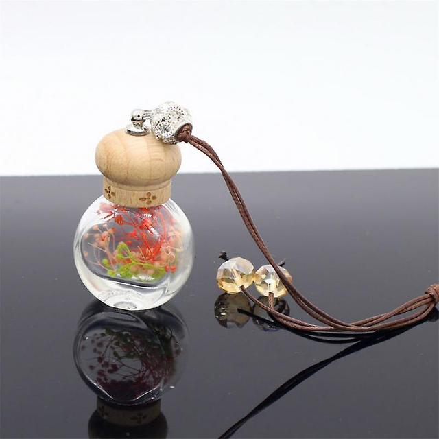 Voiture Parfum Flacon Parfum Pendentif Air Assainisseur Suspendu Bouteille en verre Conservé Fleur Auto Ornement Diffuseur Ornements Vide on Productcaster.