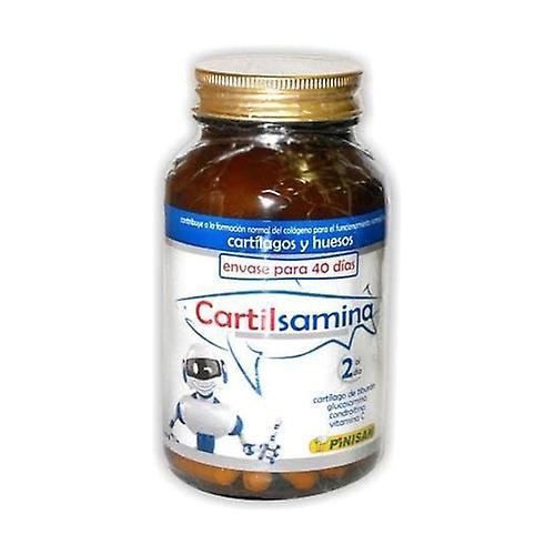 Pinisan Cartilsamine 80 capsules on Productcaster.