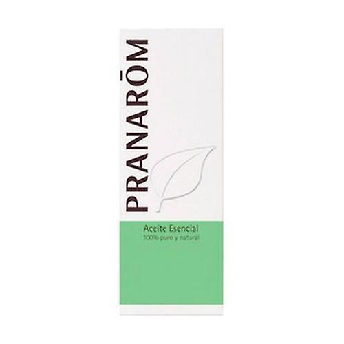 Pranarôm Worm Grass (Tanacetum) Essential Oil 5 ml of essential oil on Productcaster.