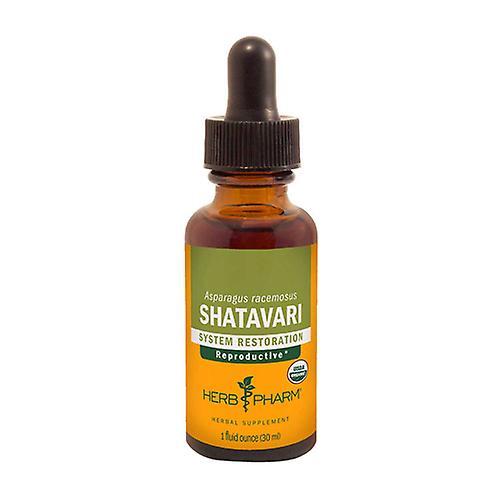 Herb Pharm Shatavari Extract, 1 oz (Pack of 1) on Productcaster.