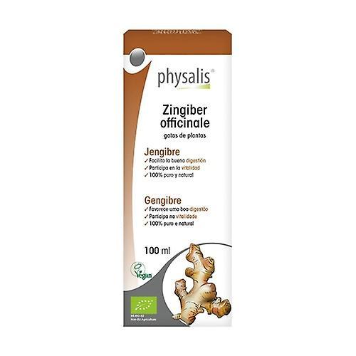 Physalis Organic Ginger Extract 100 ml on Productcaster.