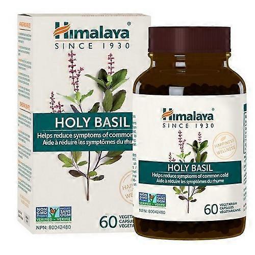 Himalaya Herbs Holy Basil, 60 Count by Himalaya Herbal on Productcaster.