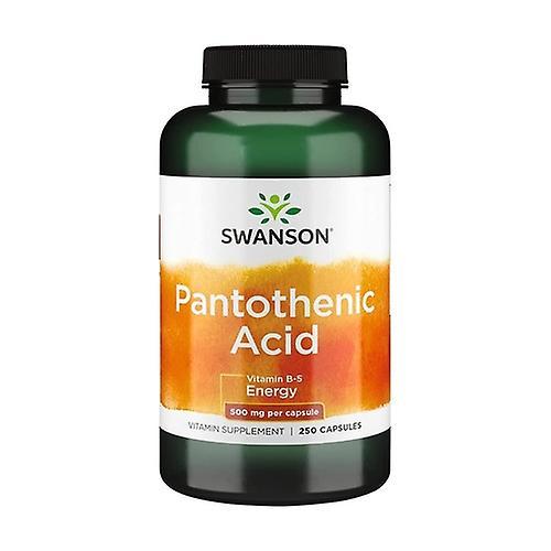 Swanson Pantothenic Acid 250 capsules of 500mg on Productcaster.