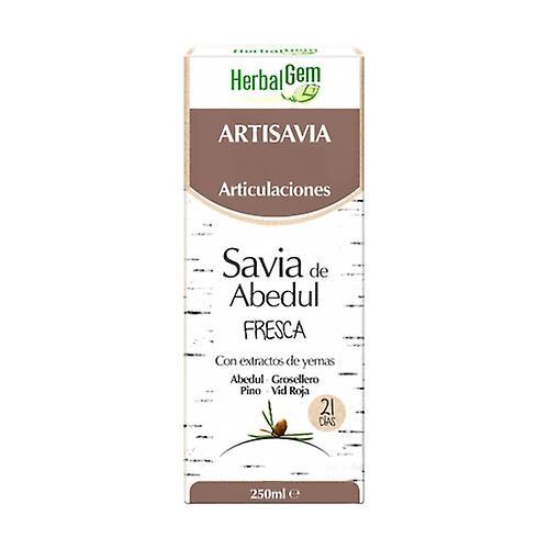 Herbalgem Artisavia Bio Joints 250 ml on Productcaster.