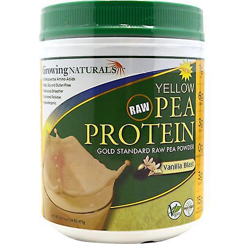 Growing Naturals Pestovanie naturalov Žltý hráškový proteín, Vanilkový výbuch 16 OZ (balenie po 1) on Productcaster.