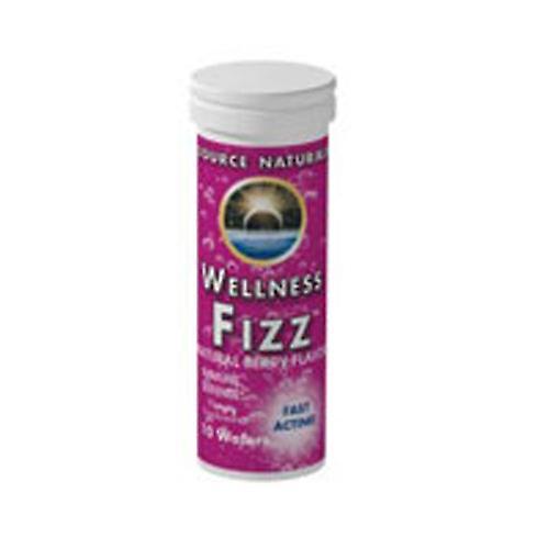 Source Naturals Wellness Fizz, Tangerine 10 Wafers (Pack of 6) on Productcaster.