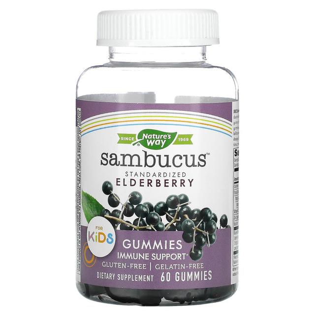 Nature's Way, Sambucus for Kids, Standardized Elderberry Gummies, 60 Gummies on Productcaster.