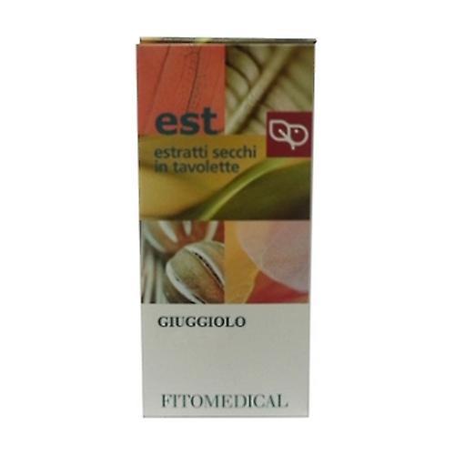 Fitomedical Dry Extracts in Tablets - Giuggiolo 70 tablets of 500mg on Productcaster.