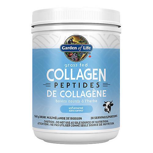 Garden of Life Grass Fed Collagen Peptides ,560 Grams on Productcaster.