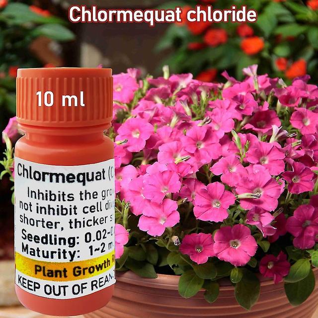 Timubike 10 Ml Cycocel Chlormequat Chloride Ccc Bonsai Plant Growth Regulators Growing Delayed Growth Aid Fertilizer Garden Medicine on Productcaster.