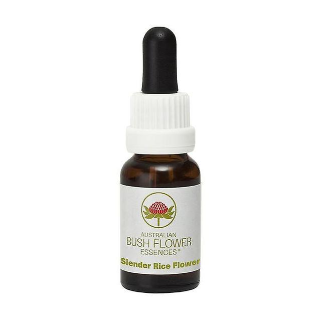 Australian Bush Flower Essences - Stock Essences 15ml-N - Z-Slender Rice Flower on Productcaster.