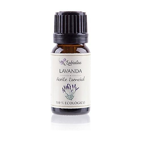 Labiatae Organic Lavender Essential Oil 12 ml of essential oil (Lavender) on Productcaster.