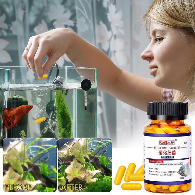 Nitrifying Germ Capsules Water Purifying Agent Water Quality Stabilizer Concentrated Dry Powder Germ Nitrobacterium Capsules Bacterial food 1kg on Productcaster.