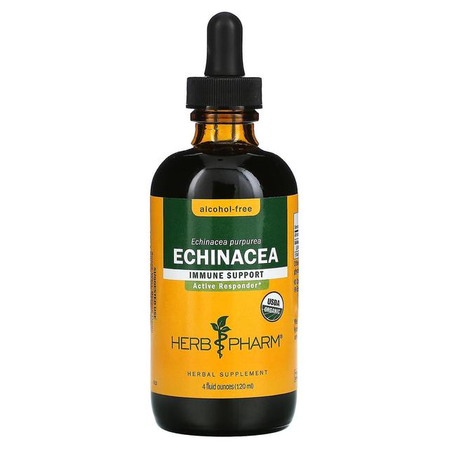 Herb Pharm, Echinacea, Alcohol-Free, 4 fl oz (120 ml) on Productcaster.