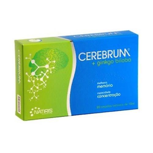 Natiris Cerebrum + Ginkgo Biloba 30 capsules on Productcaster.