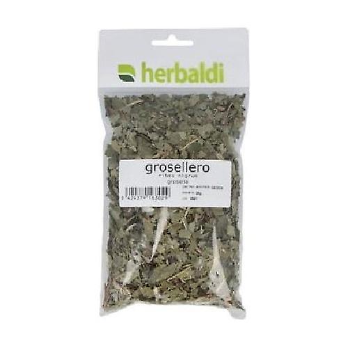 Herbaldi black currant herb 50 g on Productcaster.