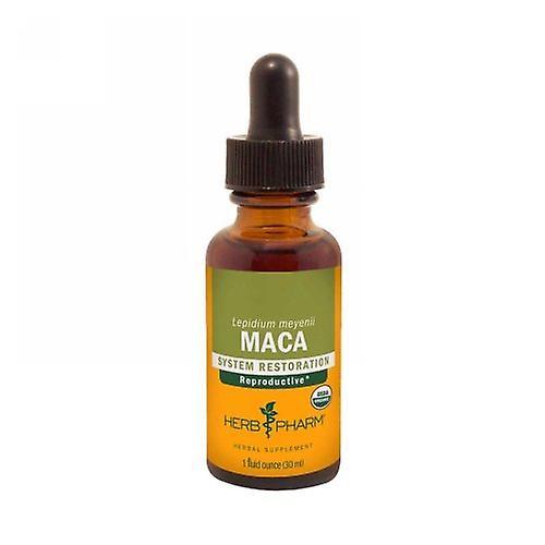 Herb Pharm Maca Extract, 4 Oz (Pack of 2) on Productcaster.