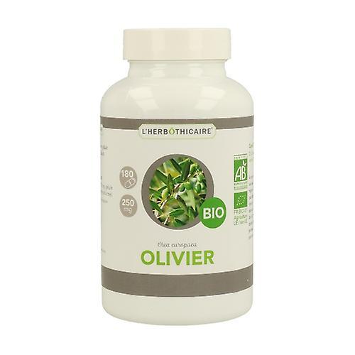 L'Herbothicaire Oliivi 250 mg 180 kapselia on Productcaster.