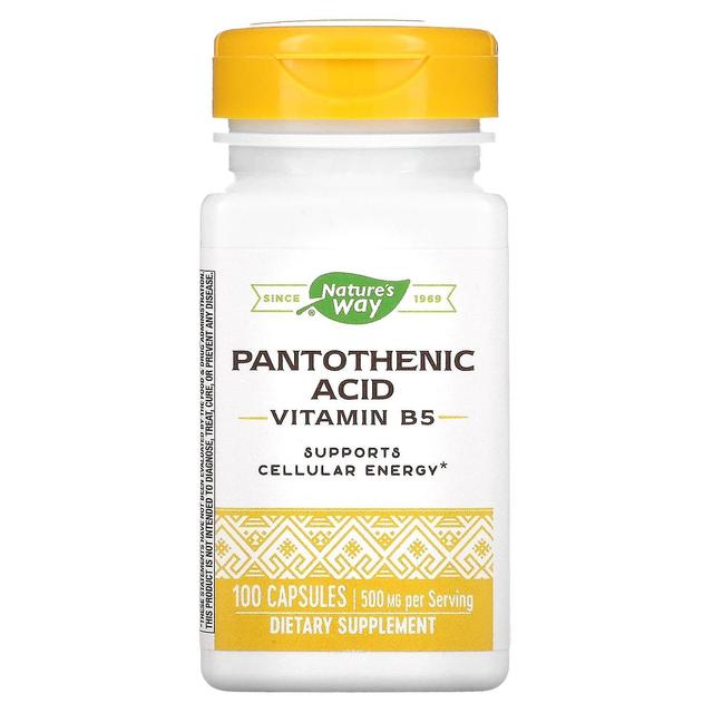 Nature's Way, Pantothenic Acid, Vitamin B5, 250 mg, 100 Capsules on Productcaster.