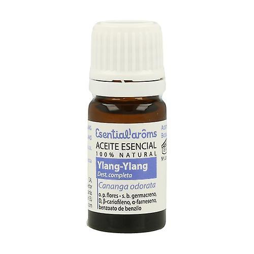 Esential Aroms Ylang Ylang Essential Oil 5 ml (Ylang-Ylang) on Productcaster.