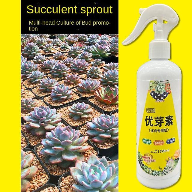 Rion Succulent Plant Eugenin Promotes Budding, Dwarf Fat, Prevents Leggy Organic Granules, Succulent, And Succulent 320ml euphadin on Productcaster.