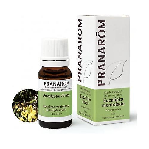 Pranarôm Eucalyptus Menthol Essential Oil 10 ml of essential oil on Productcaster.