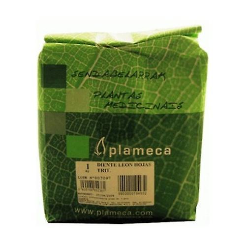 Plameca Witch Hazel Leaf Trit. 1 kg on Productcaster.