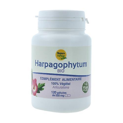 Nature et Partage Ecocert certified Organic Harpagophytum - 120 tablets of 250mg 120 capsules on Productcaster.